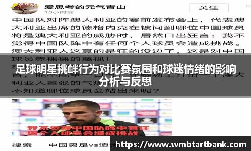 足球明星挑衅行为对比赛氛围和球迷情绪的影响分析与反思